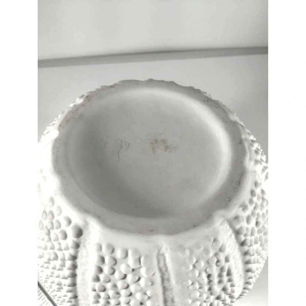 White shell urchin style vase home decor beachy island tropical Caribbean vibes
